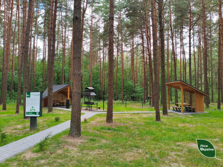 ліси Волині та Рівненщини