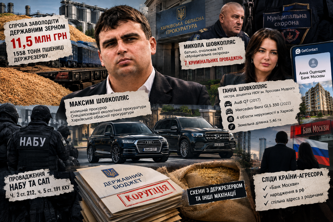 11,5 мільйона на зерні, елітний Mercedes і російський «Банк Москви»: чим живе прокурорське сімейство Шовкоплясів?